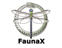 logo Bureau FaunaX