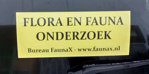 Over FaunaX